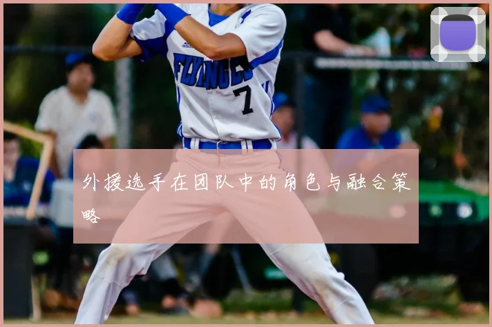外援选手在团队中的角色与融合策略
