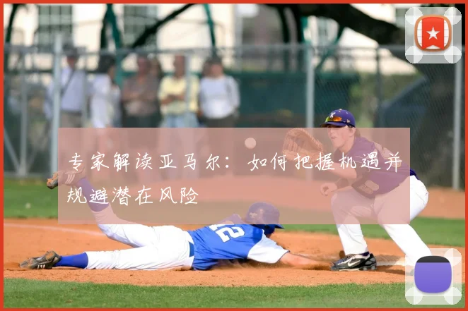 专家解读亚马尔：如何把握机遇并规避潜在风险