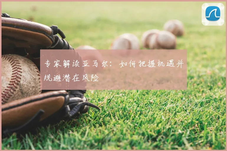 专家解读亚马尔：如何把握机遇并规避潜在风险