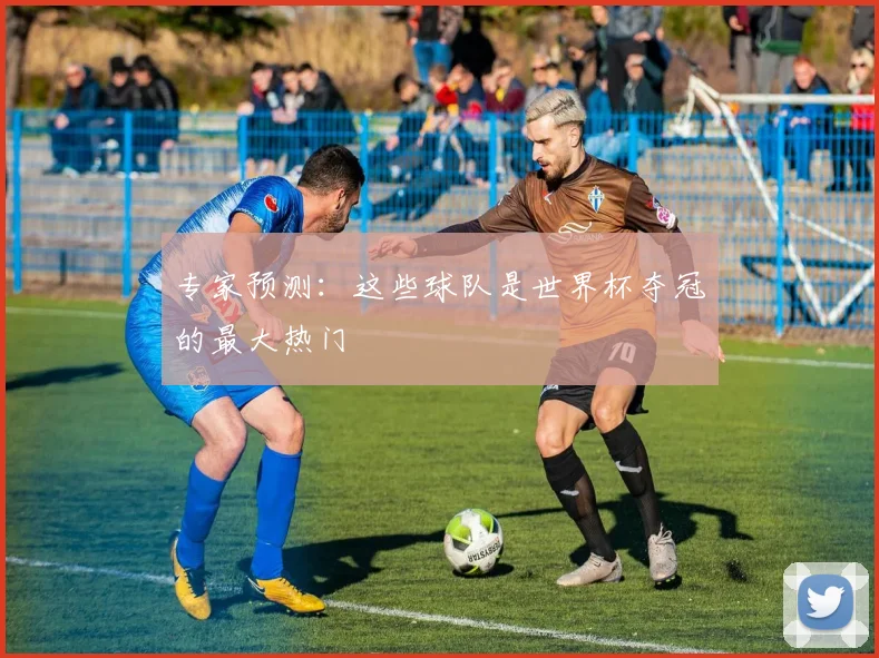 专家预测：这些球队是世界杯夺冠的最大热门