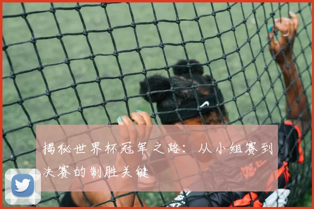 揭秘世界杯冠军之路：从小组赛到决赛的制胜关键